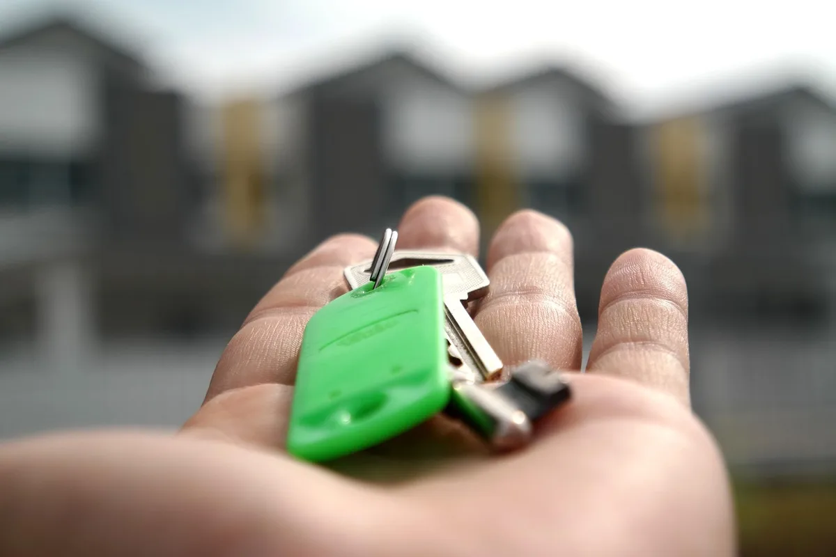 Conseiller montrant des options d'investissement immobilier sur une tablette près d'une fenêtre